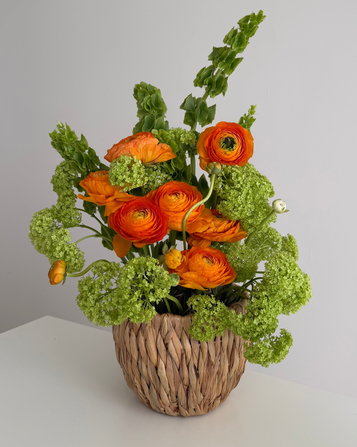 Orange Perfection