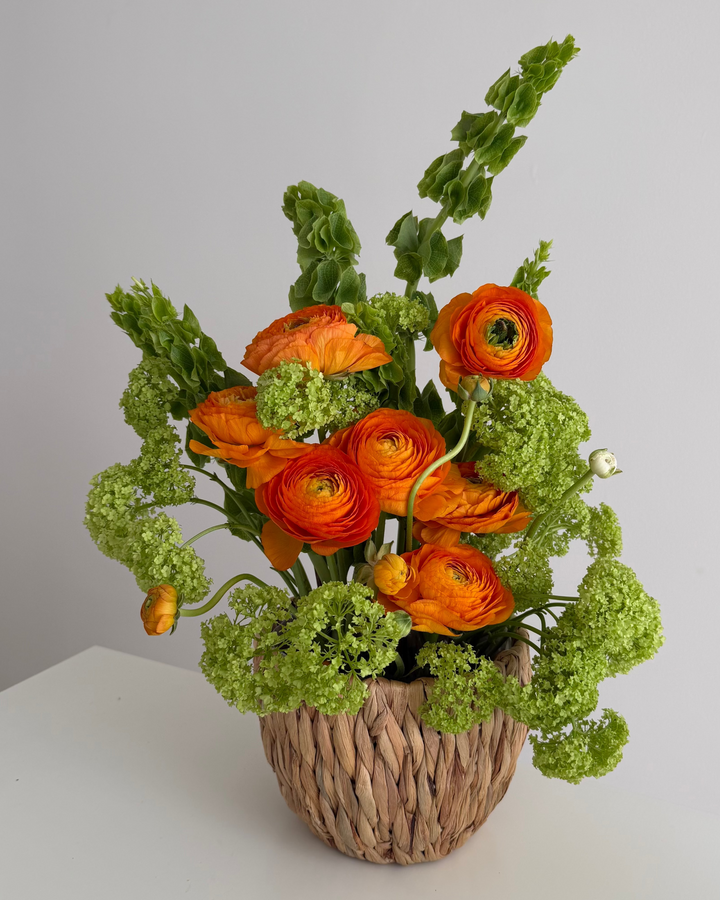 Orange Perfection