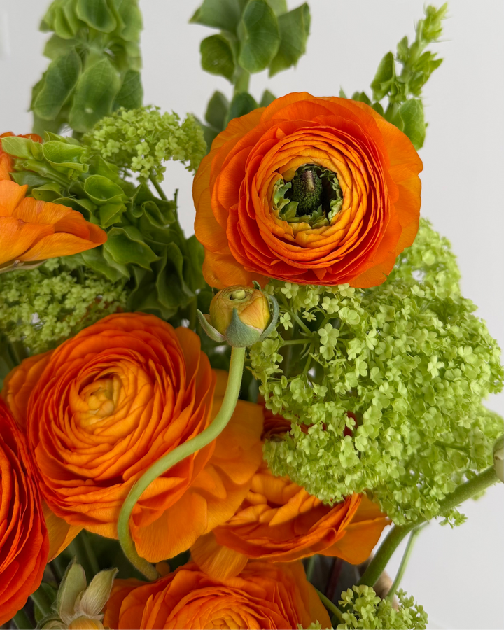 Orange Perfection
