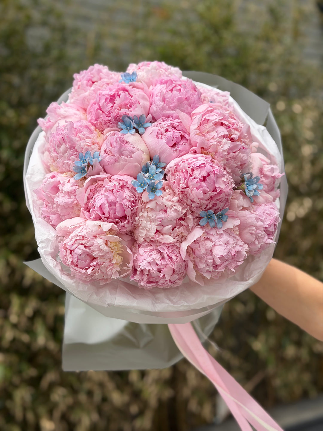 Peonies with Blue Accents