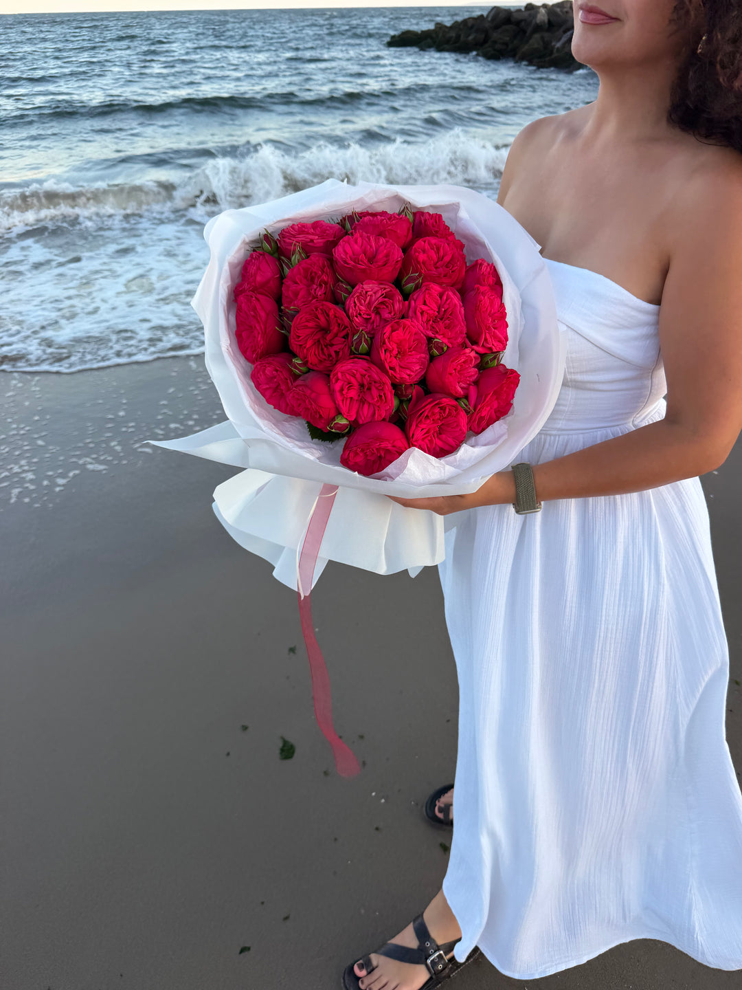 Red Piano Garden Roses