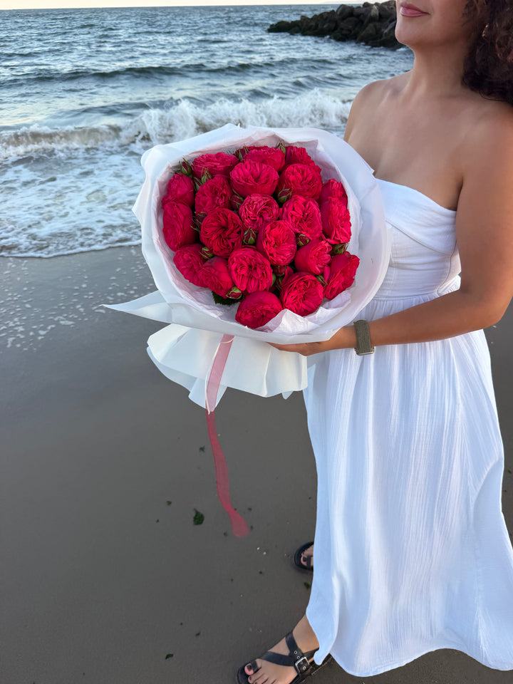 Red Piano Garden Roses