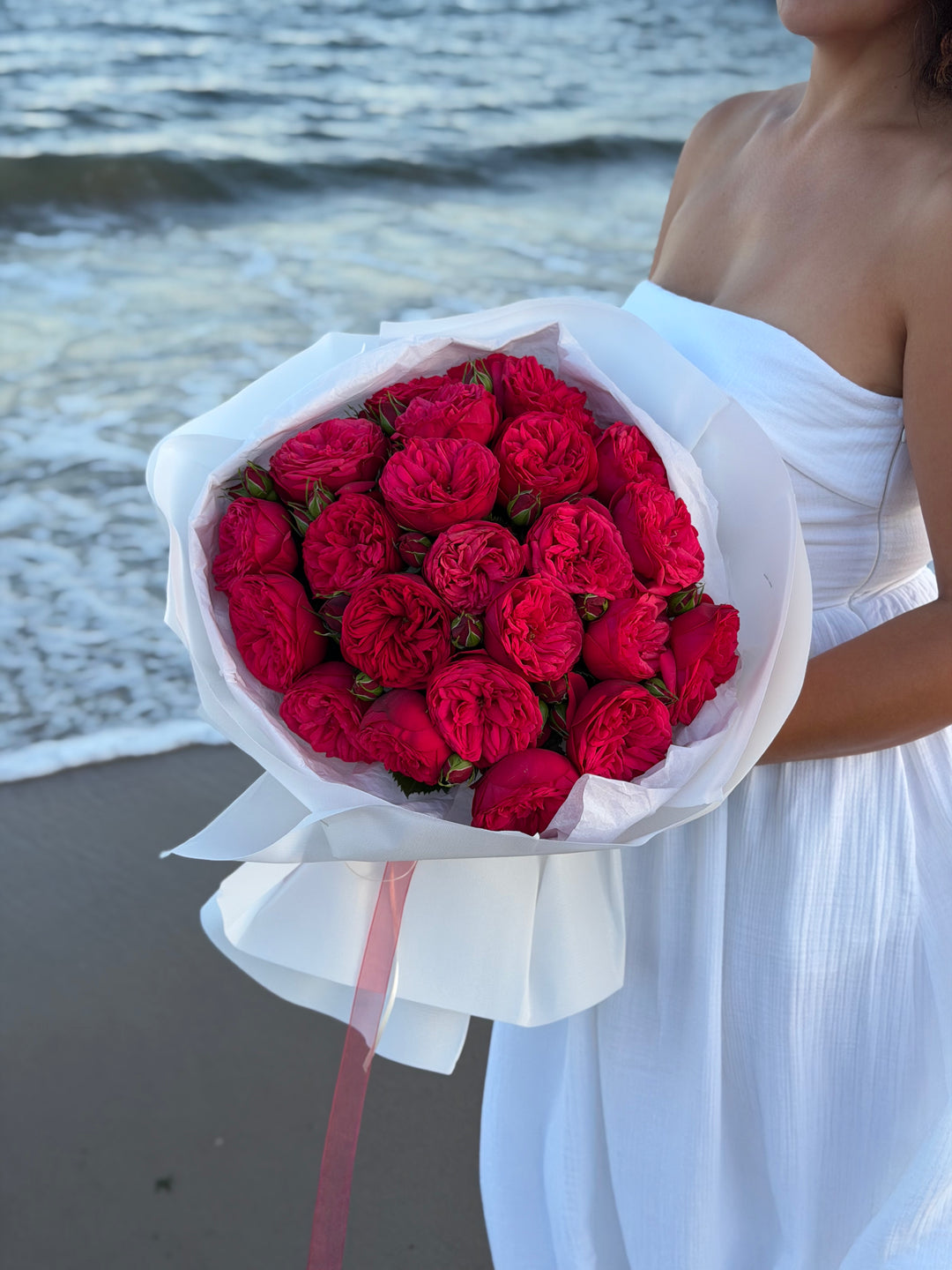 Red Piano Garden Roses