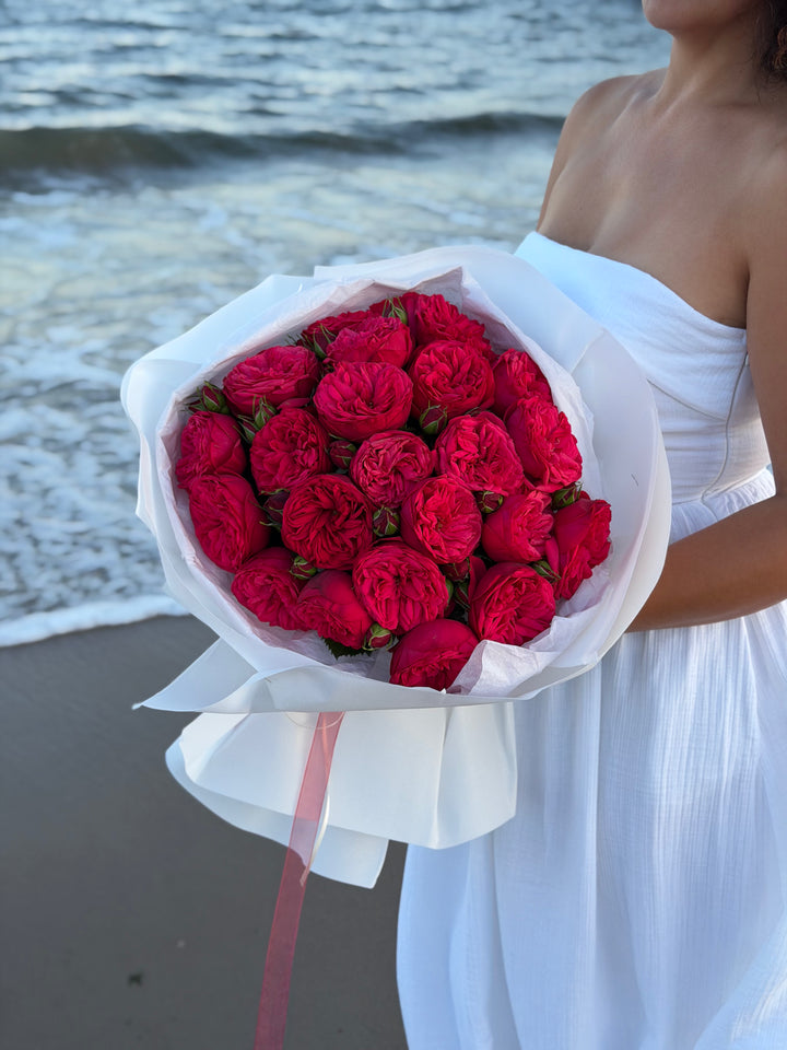 Red Piano Garden Roses