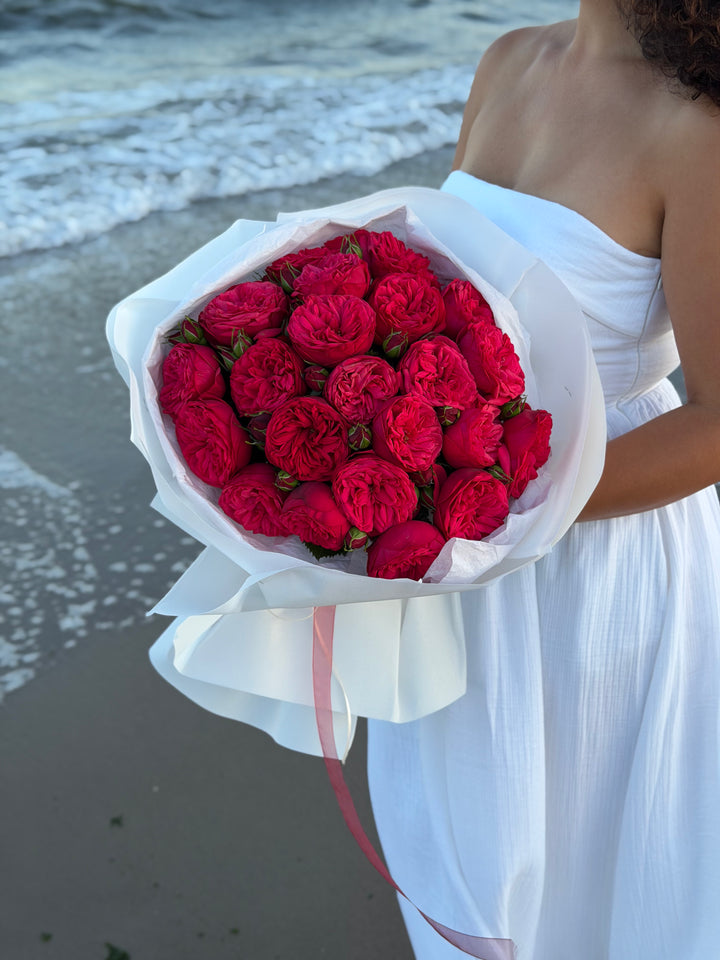 Red Piano Garden Roses