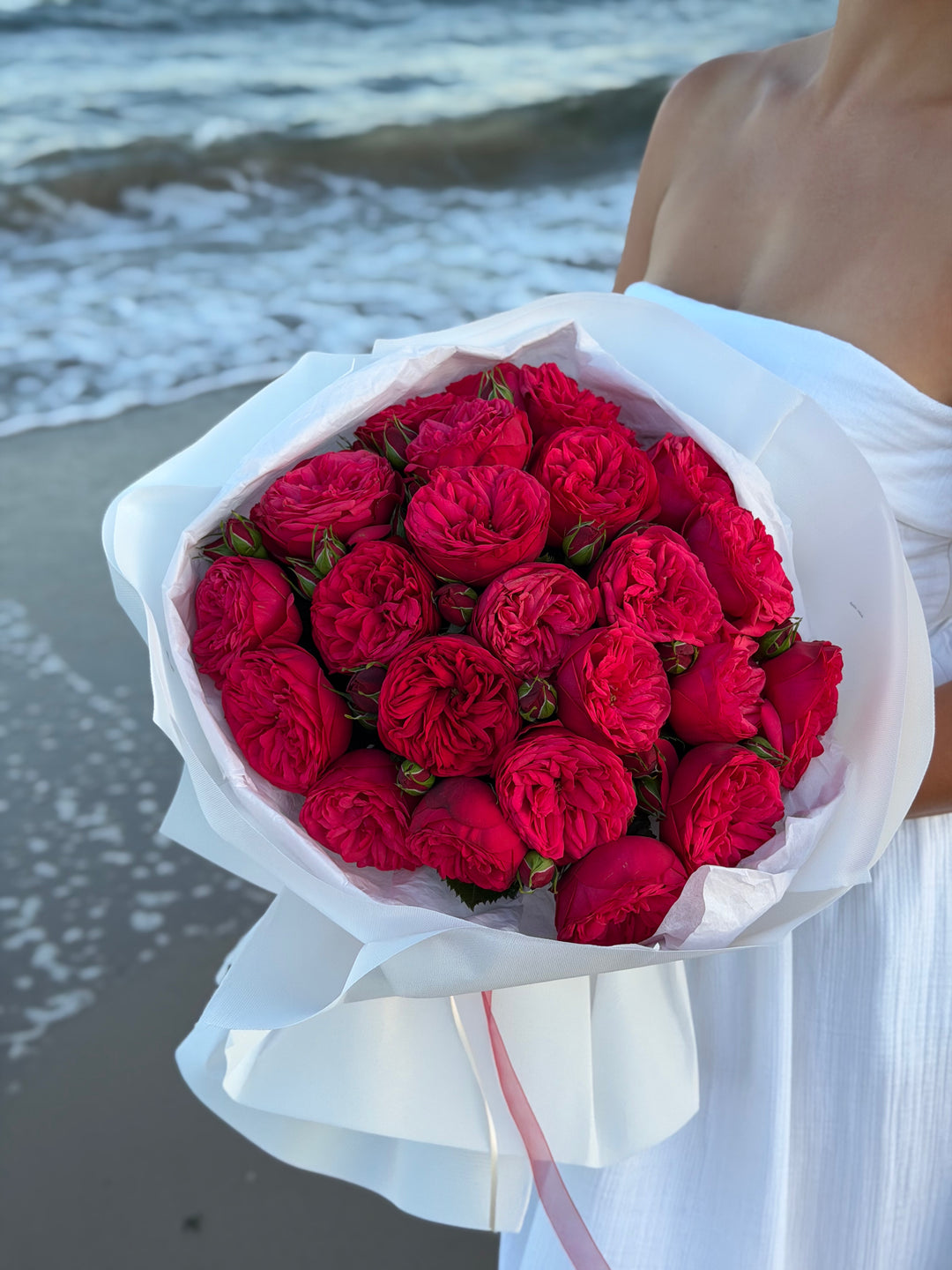 Red Piano Garden Roses