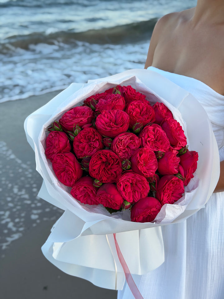 Red Piano Garden Roses