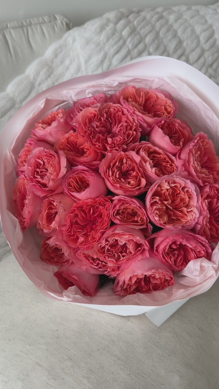 Roses Candy Xpression